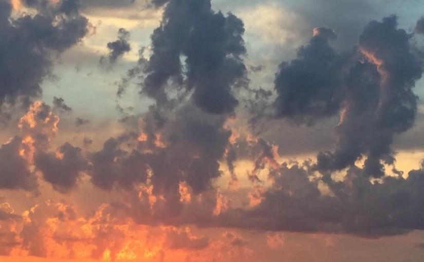 Captain’s Log-Day 8. European&nbsp;Vacation.